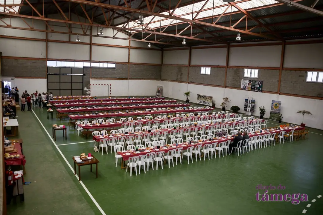 190331 FESTA DA CEBOLA_CASTRELO MSM_18