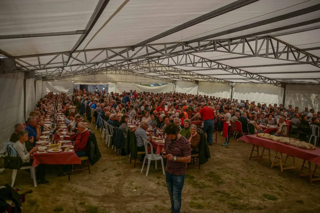 1 MAYO010519-54