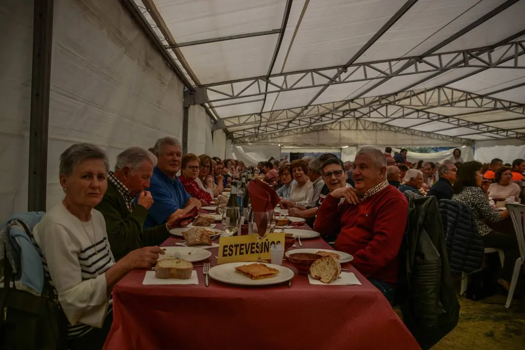 1 MAYO010519-55