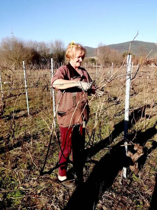 Silvana Louren&ccedil;o: madre, abuela, agricultora, viticultora...