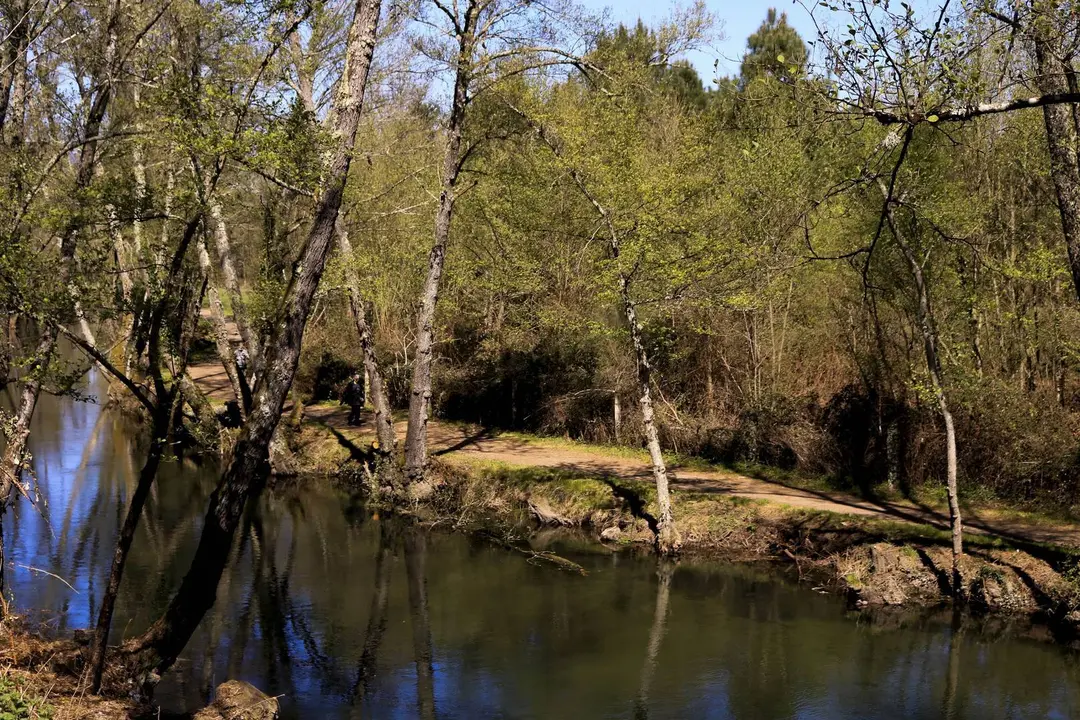 Ver&iacute;n- Obras- Limpeza do T&aacute;mega- Zona da Pousa_6-min