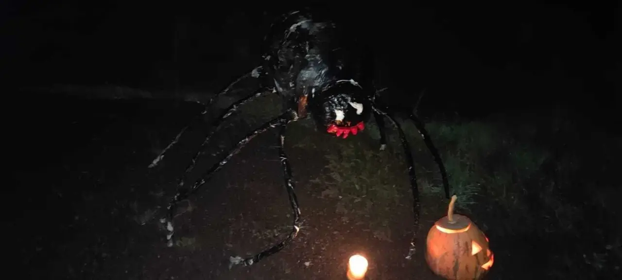 WhatsApp Image 2021-10-30 at 23.03.15 (3)