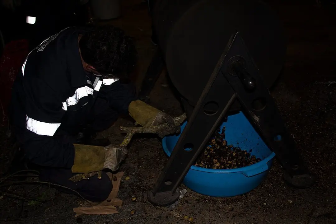 Asador das casta+&brvbar;as do Magosto de Ver+&iexcl;n 12