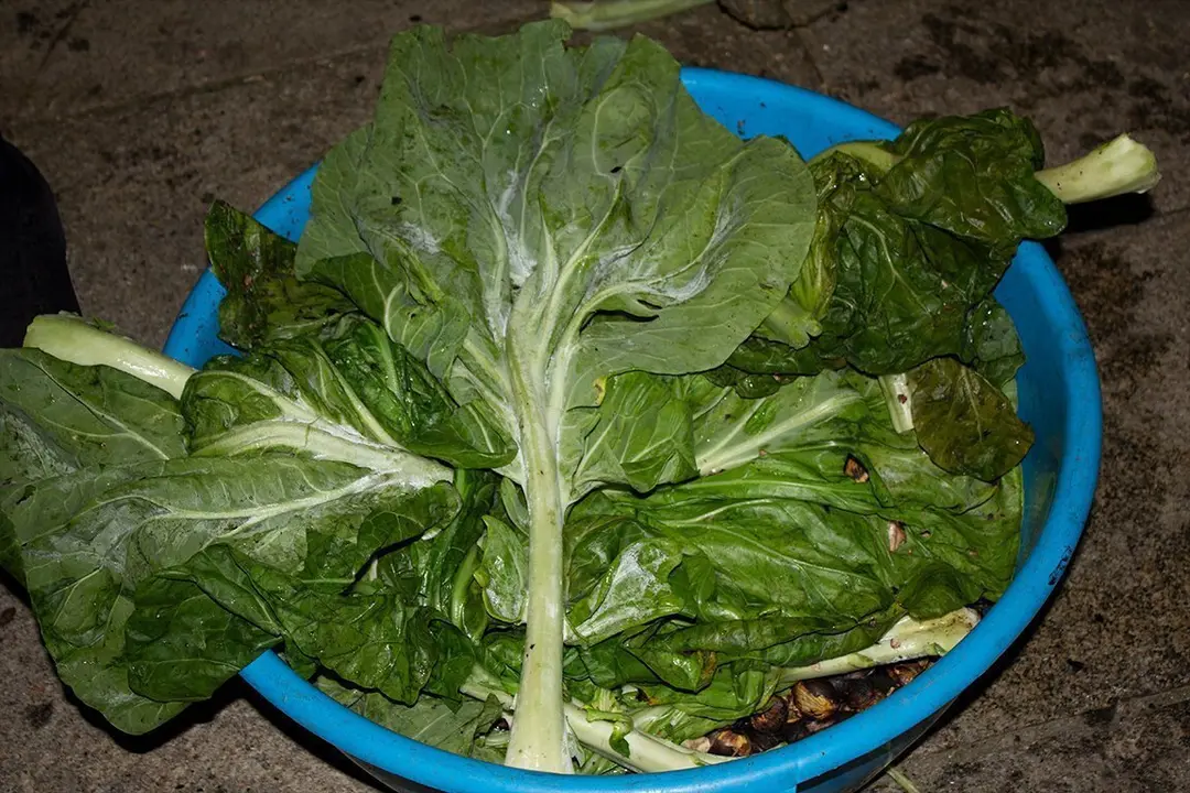 Casta+&brvbar;as asadas no Magosto de Ver+&iexcl;n 1