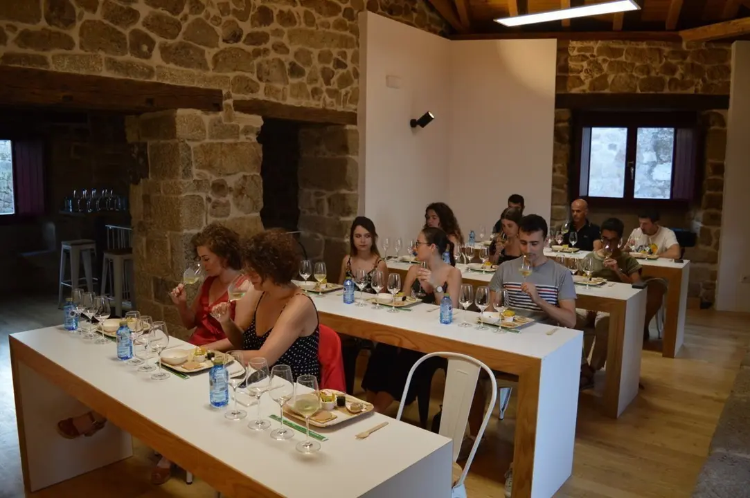 Armonia_Vino_Monterrei_Cocinas_Mundo (FILEminimizer)