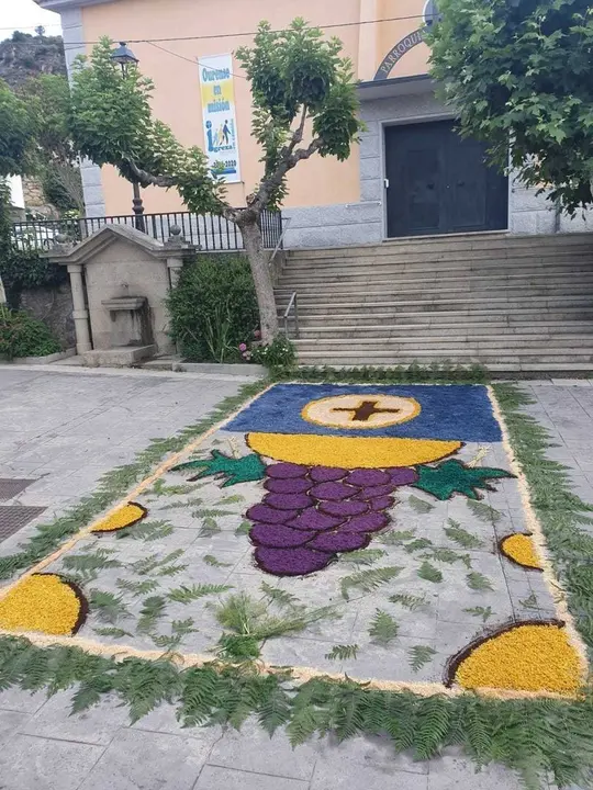 WhatsApp Image 2022-06-19 at 8.13.18 PM