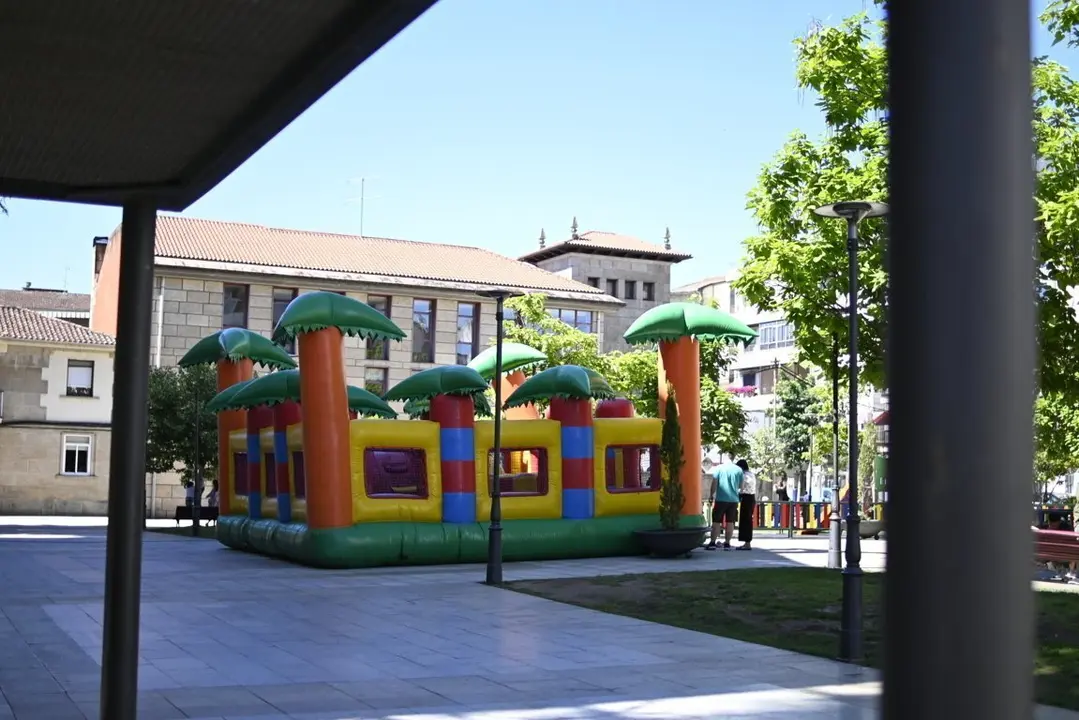 inchables verin (5)