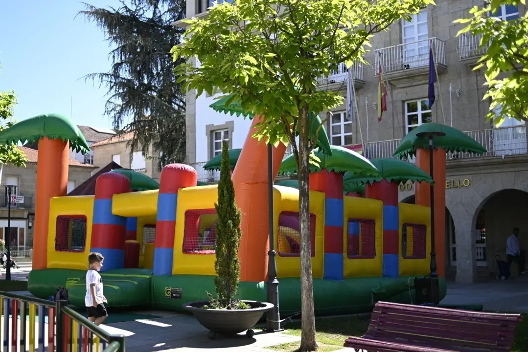 inchables verin (8)