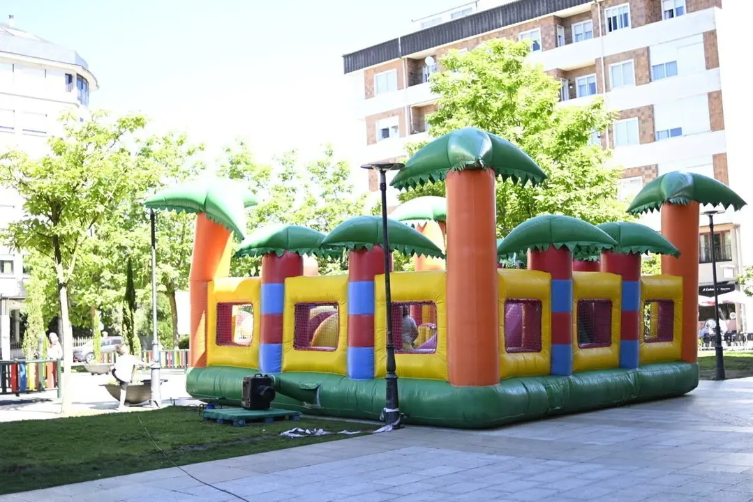 inchables verin (9)