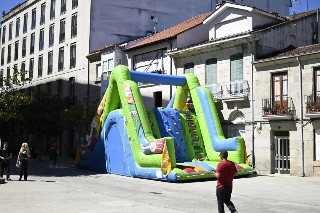 inchables verin (25)