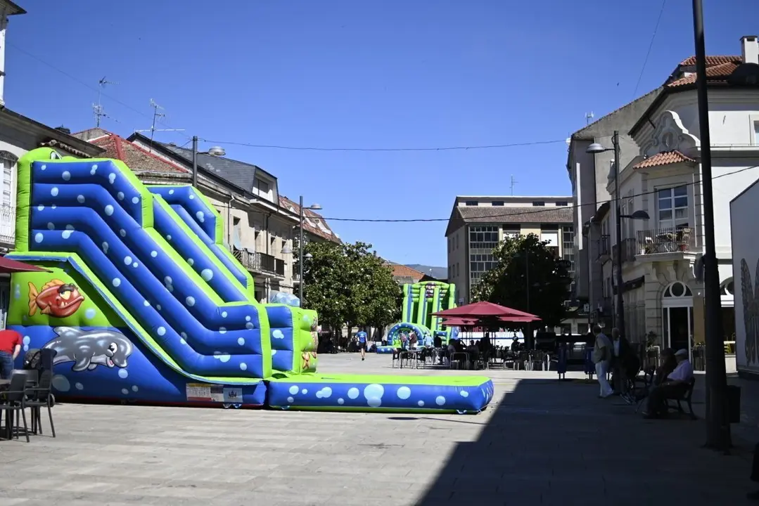 inchables verin (34)
