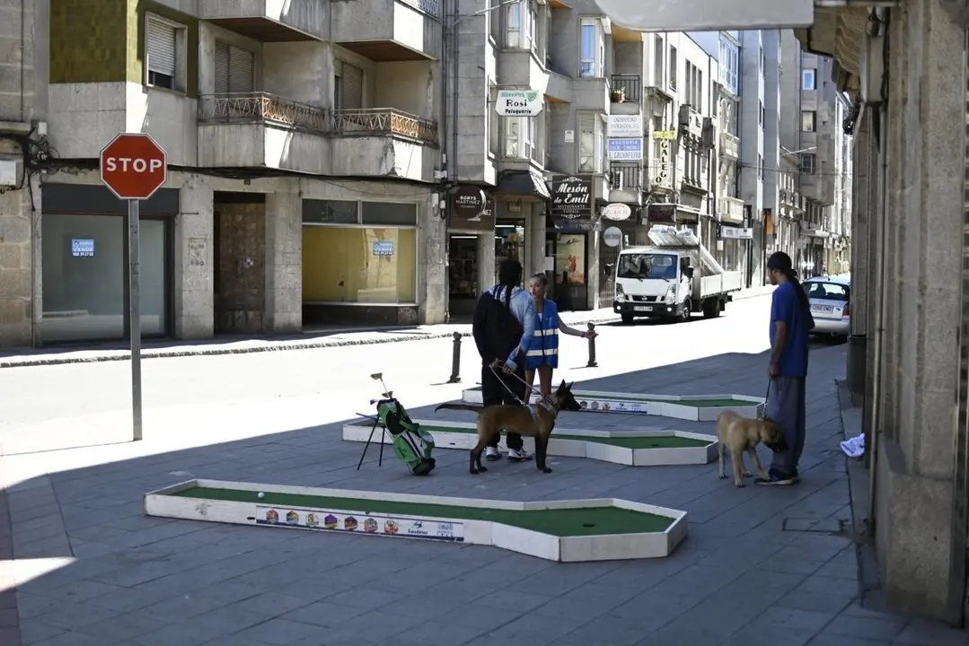 inchables verin (59)