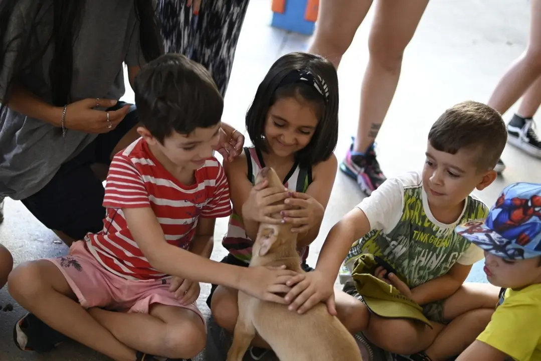 Os nenos tiveron a oportunidade de acari&ntilde;ar &oacute;s canci&ntilde;os acollidos por Pro Animales Ver&iacute;n. | FOTO: Noelia Caseiro.