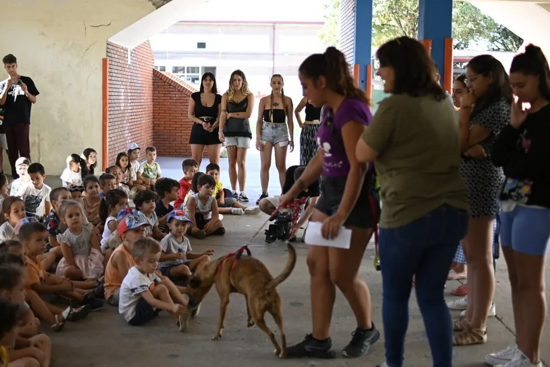 proanimales ludoteca (30) (FILEminimizer)_Easy-Resize.com