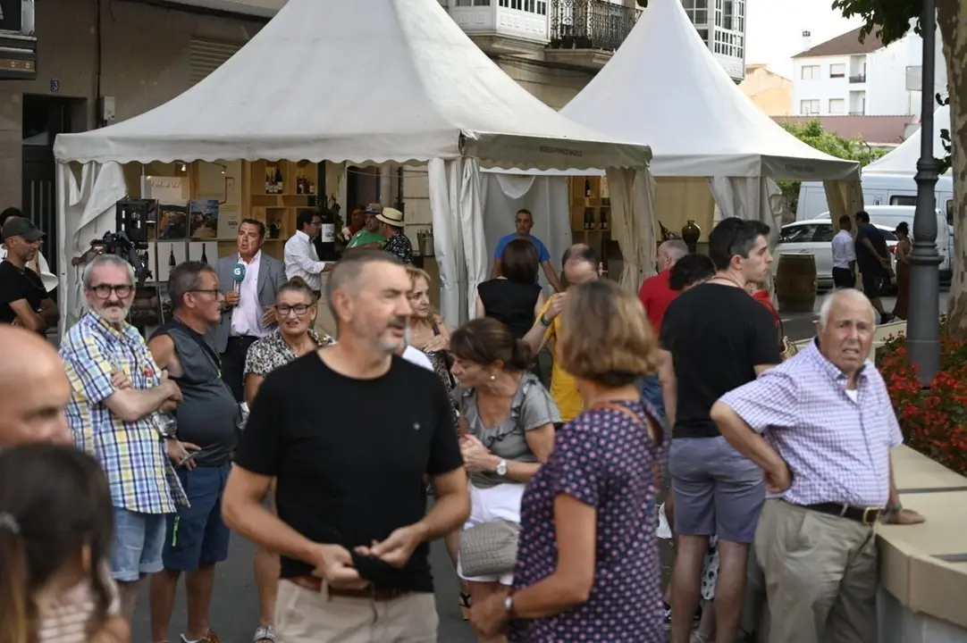 feira do vi&ntilde;o (11) (FILEminimizer)