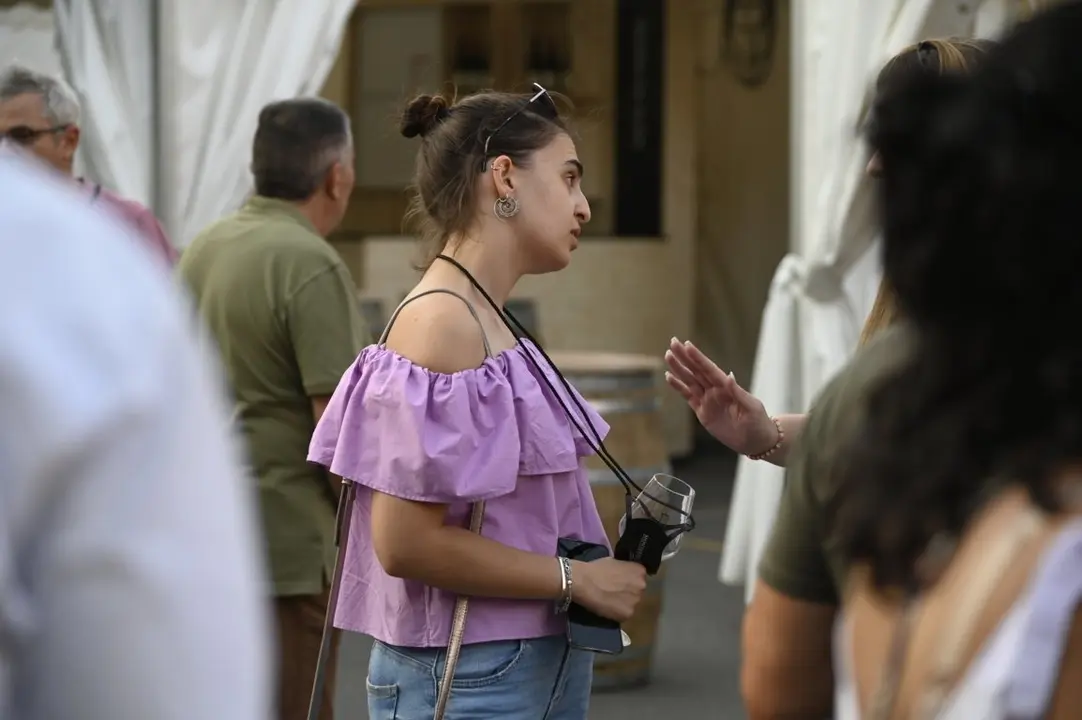 feira do vi&ntilde;o (21) (FILEminimizer)