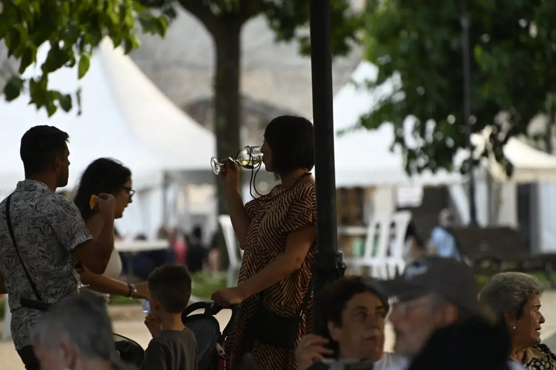 feira do vi&ntilde;o (81) (FILEminimizer)