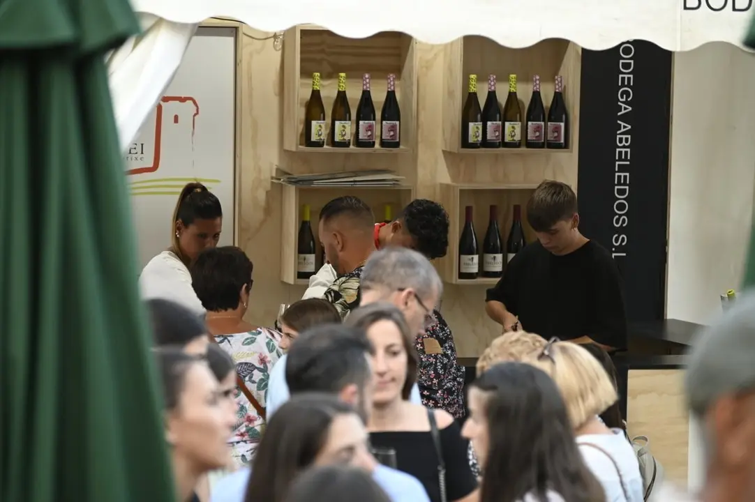 feira do vi&ntilde;o (96) (FILEminimizer)