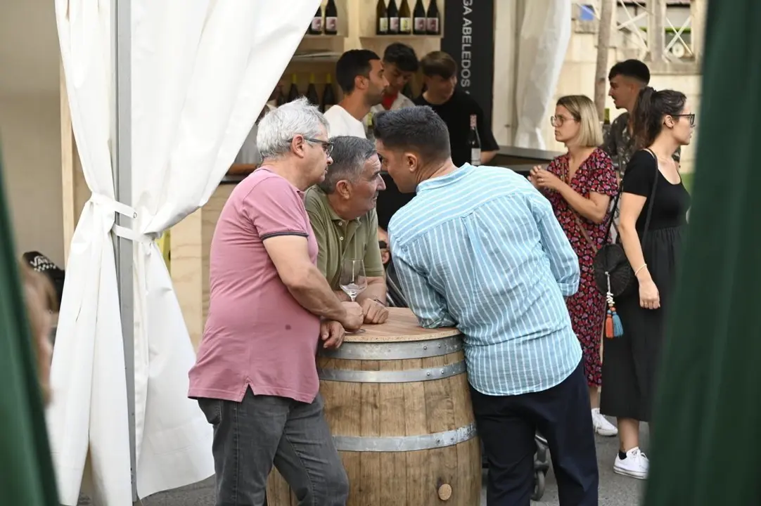 feira do vi&ntilde;o (118) (FILEminimizer)