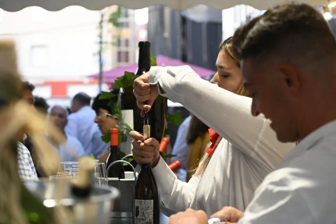 feira do vi&ntilde;o (153) (FILEminimizer)