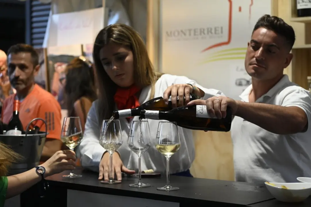 feira do vi&ntilde;o (156) (FILEminimizer)