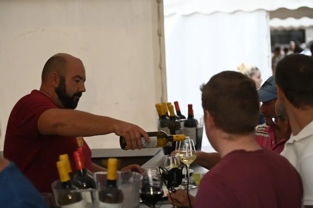 feira do vi&ntilde;o (168) (FILEminimizer)
