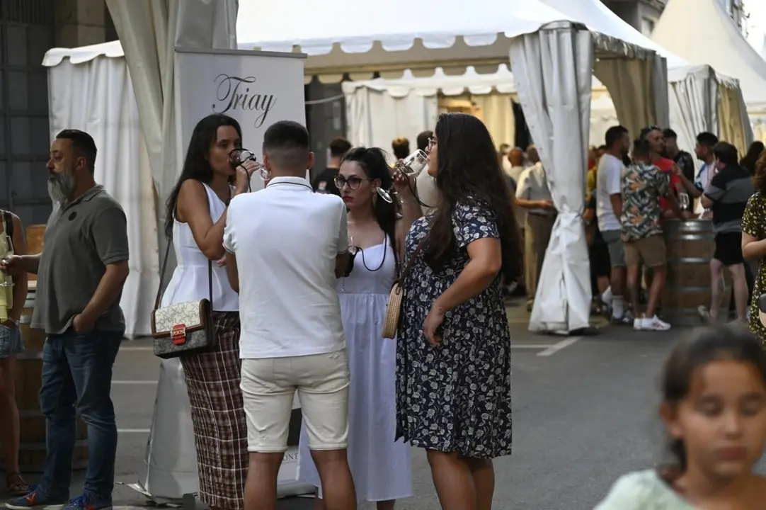 feira do vi&ntilde;o (179) (FILEminimizer)