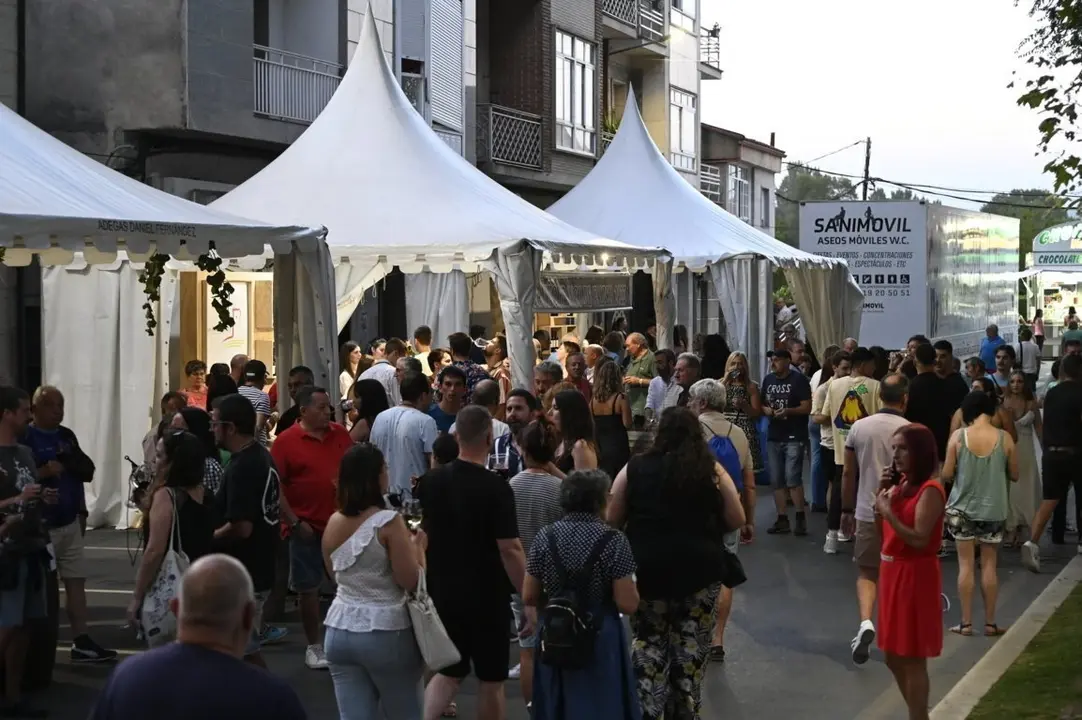 feira do vi&ntilde;o (187) (FILEminimizer)