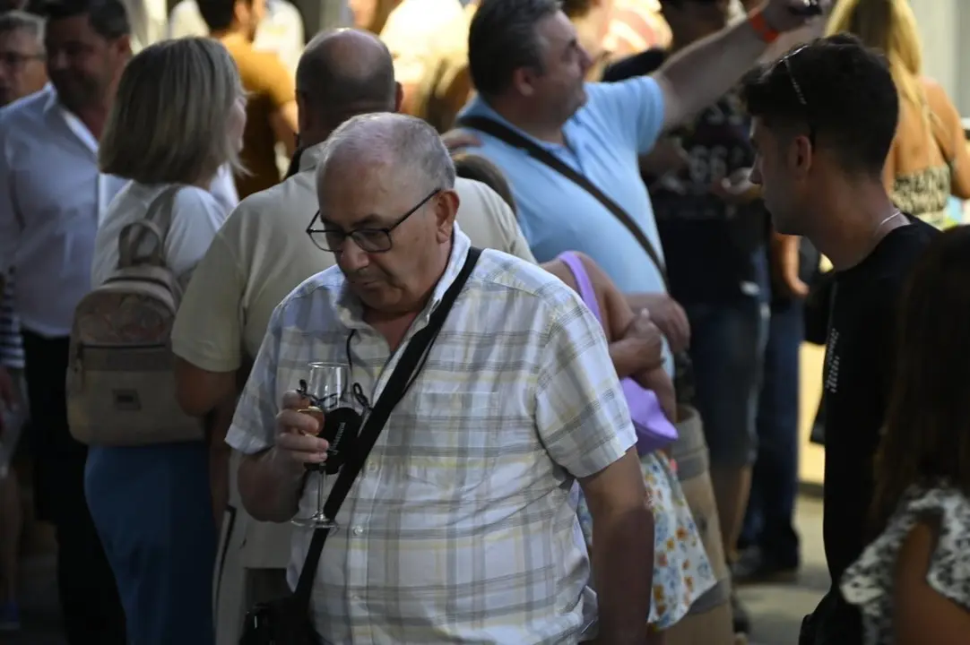 feira do vi&ntilde;o (195) (FILEminimizer)