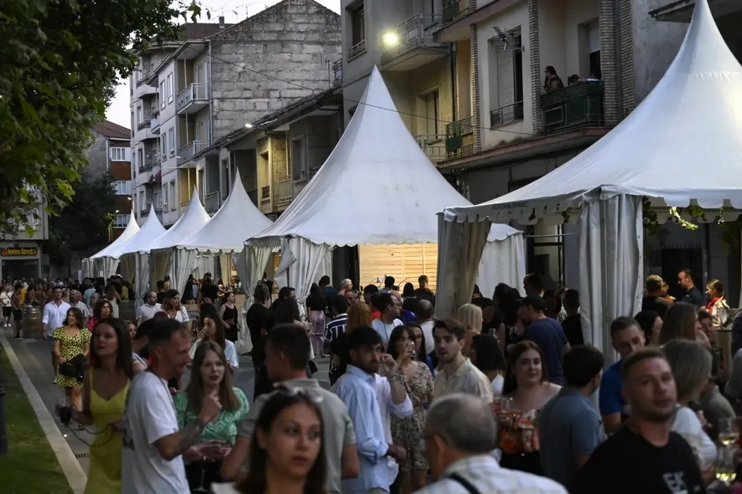 feira do vi&ntilde;o (198) (FILEminimizer)