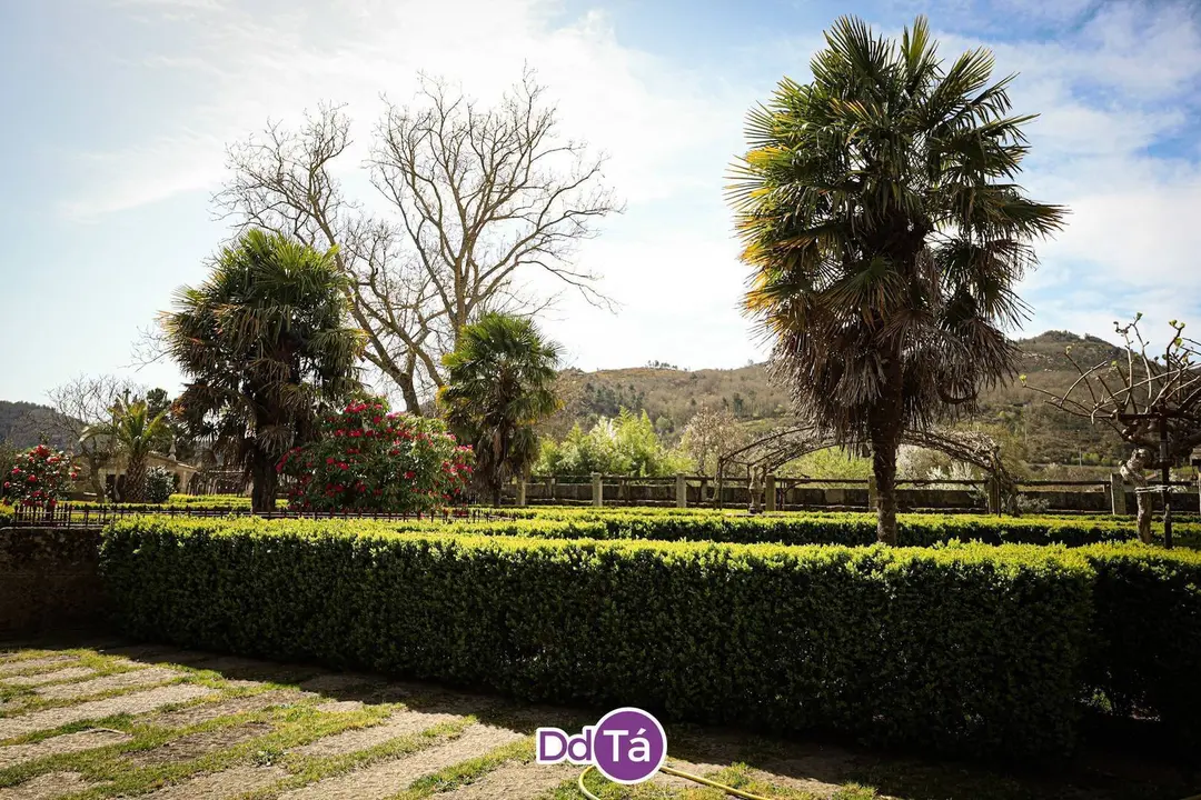 RETIRO-15