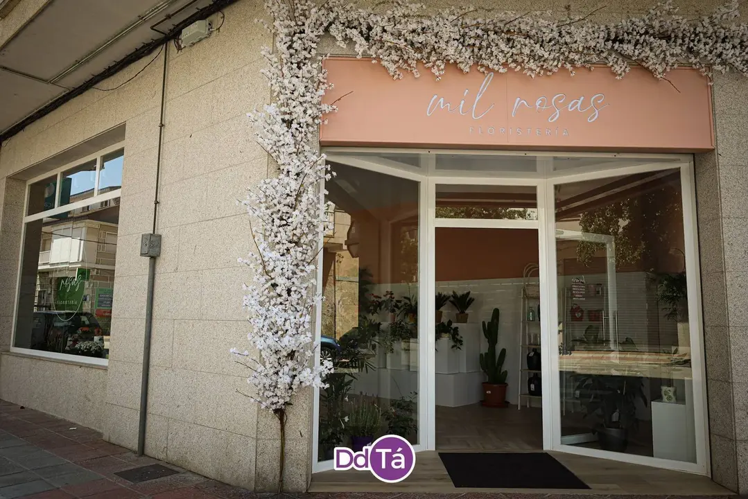 MIL ROSAS-11