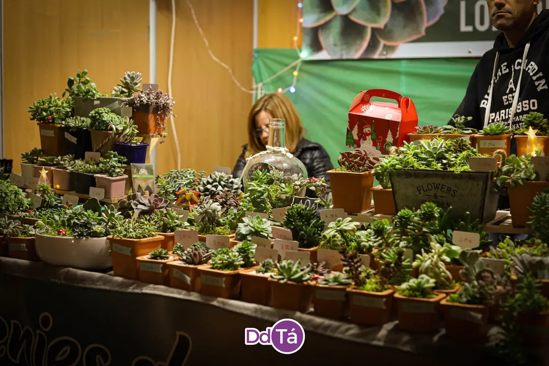 feira nadal verin 2023-037
