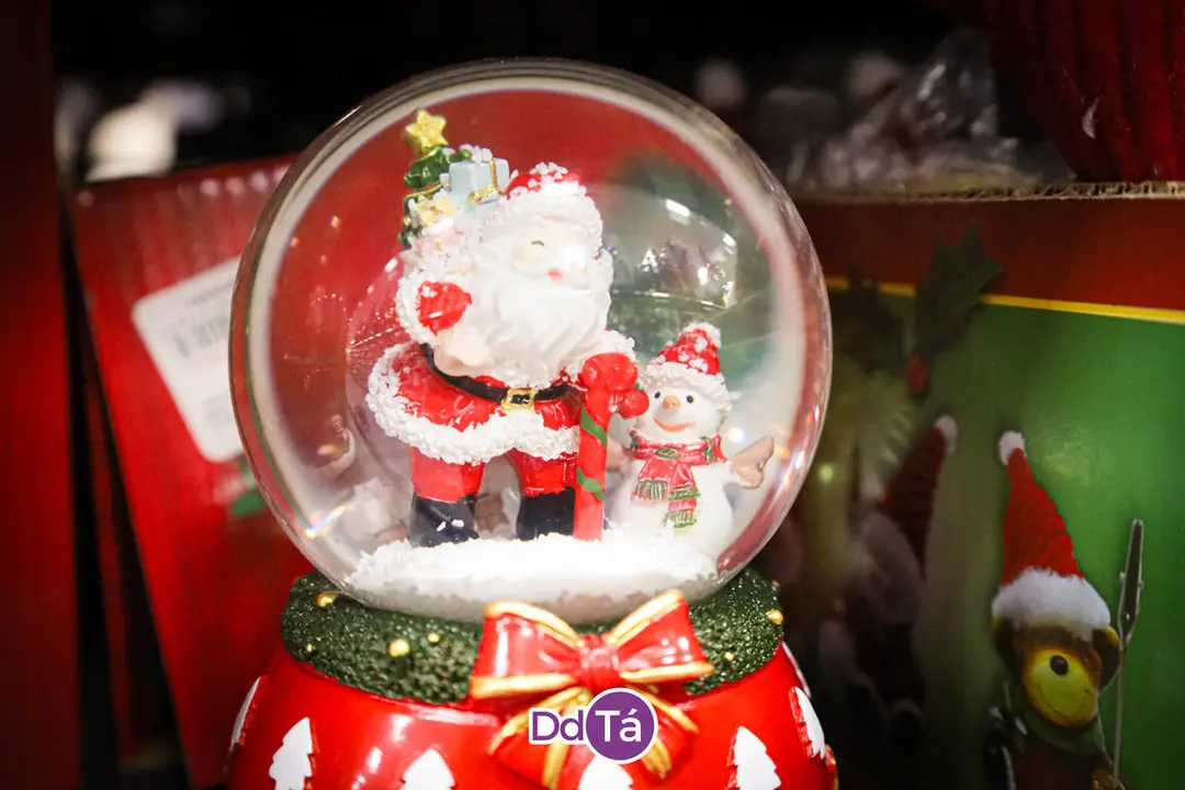 chino navidad 2023-89