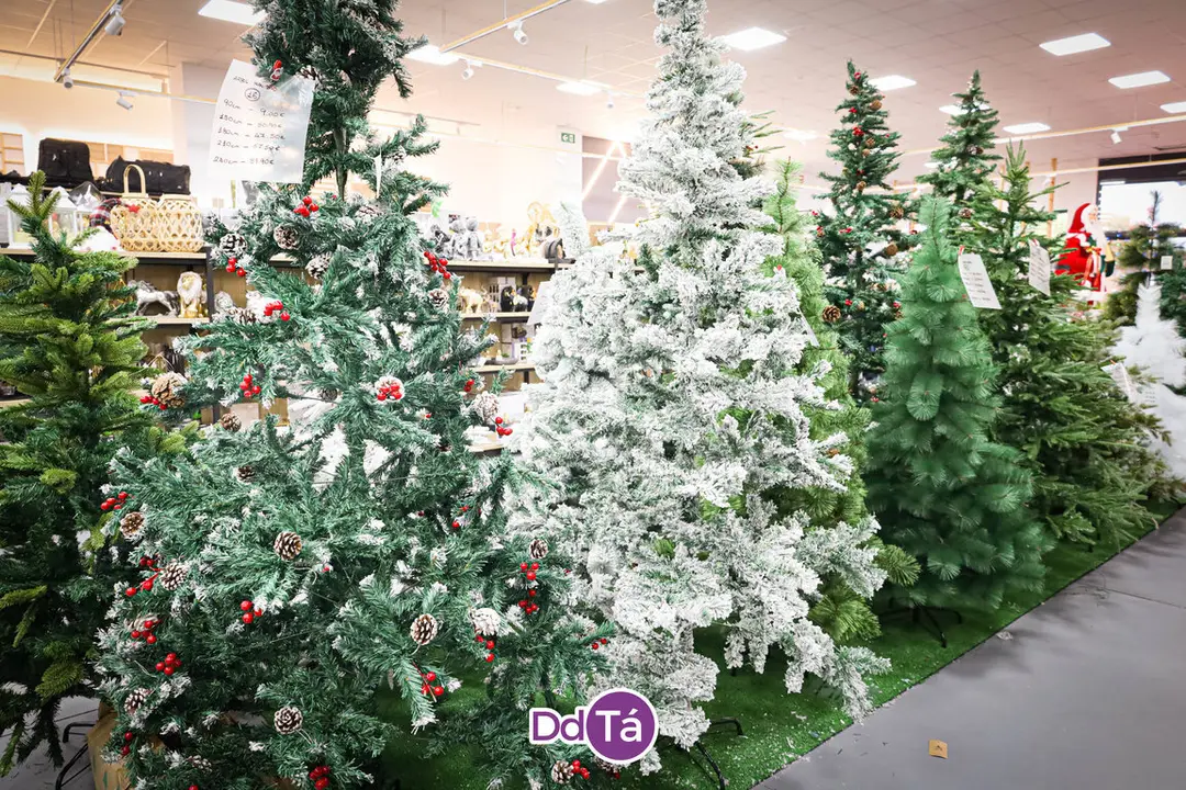 chino navidad 2023-23