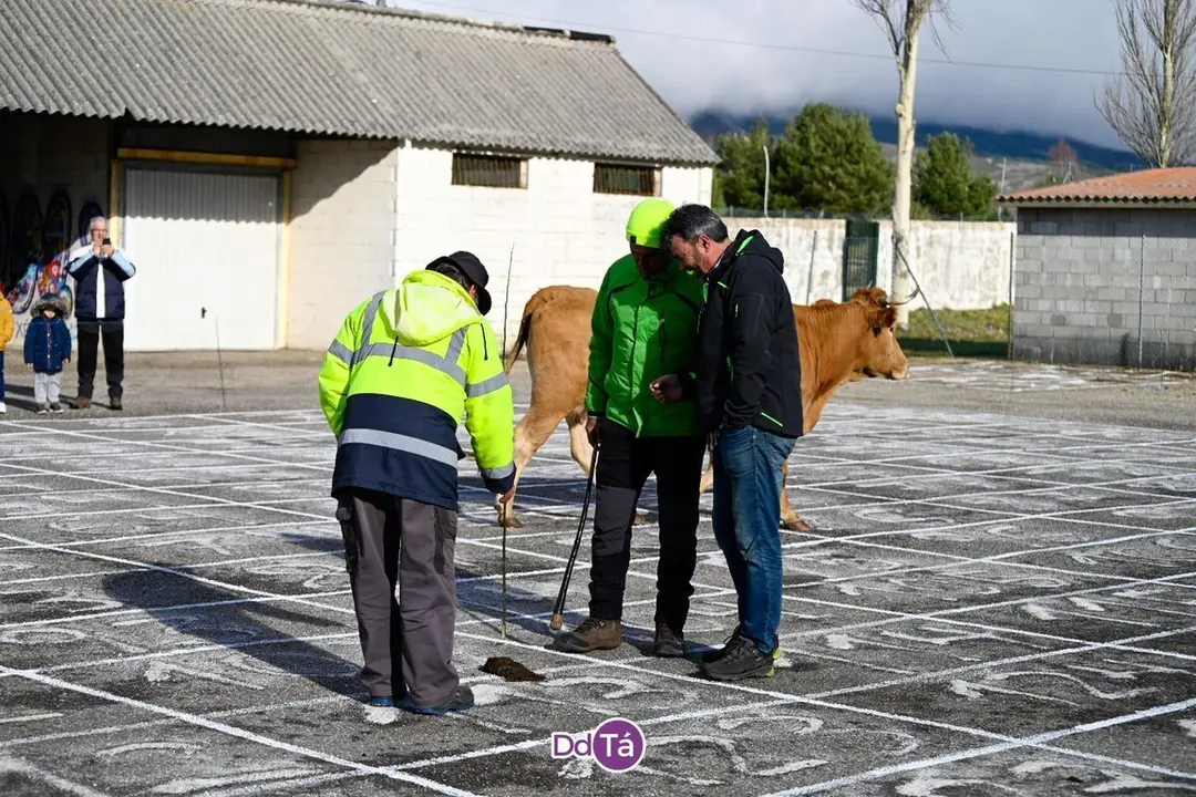 Componentes del equipo de jueces, determinando el lugar preciso de la cagada de "Ayuso". | FOTO: Noelia Caseiro.
