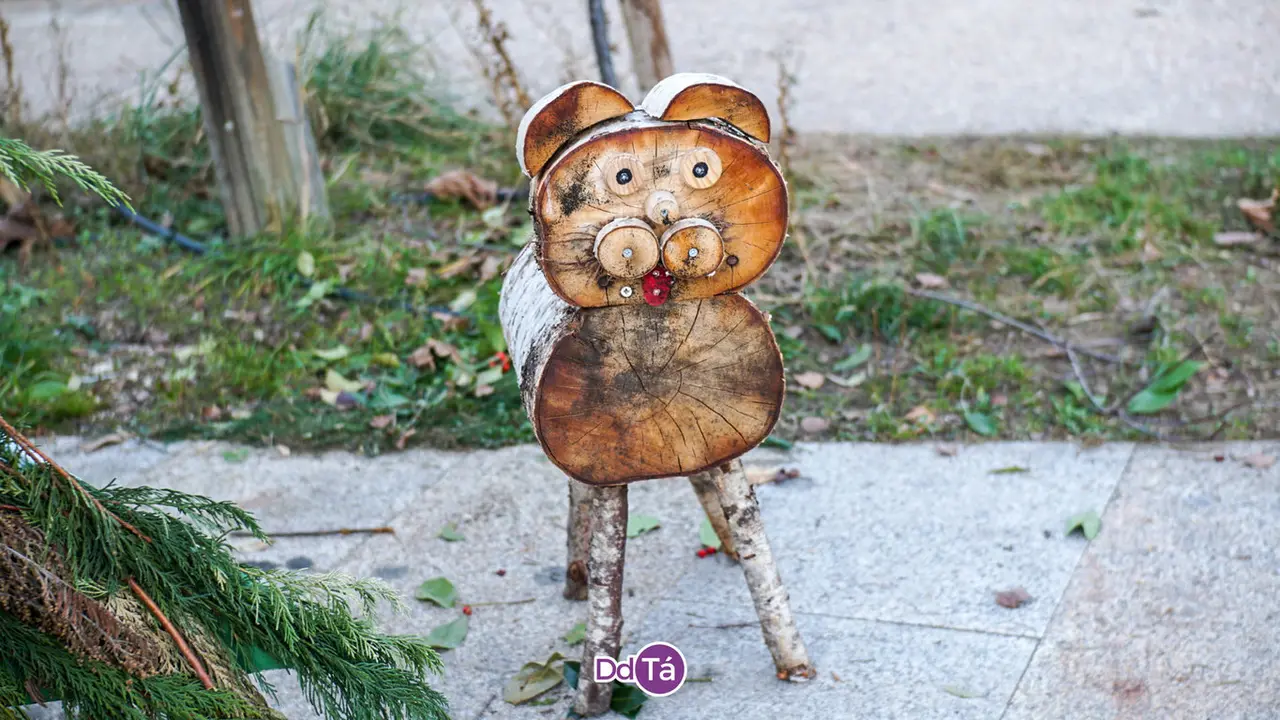 a veiga nadal (3)