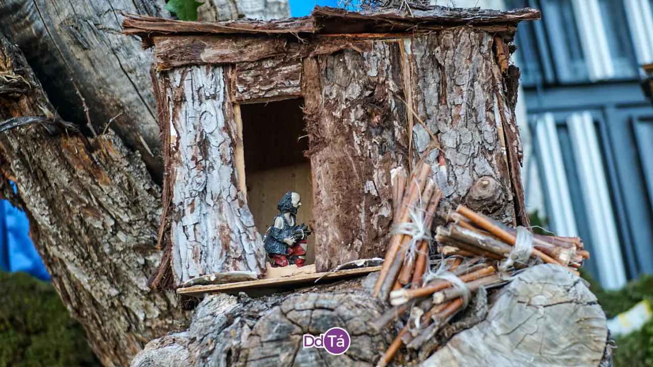 a veiga nadal (7)