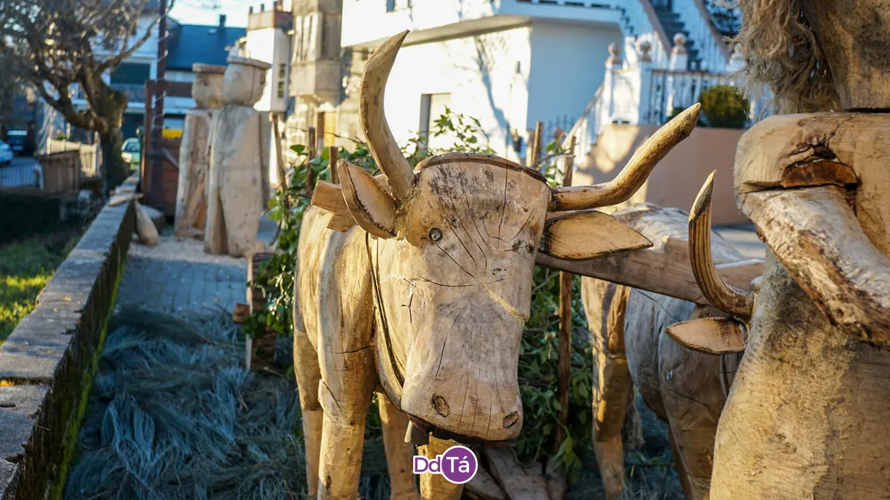 a veiga nadal (81)