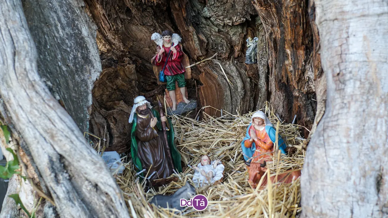 a veiga nadal (86)