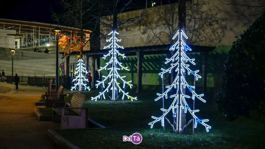 Luces Nadal 2023 Ver&iacute;n (50)