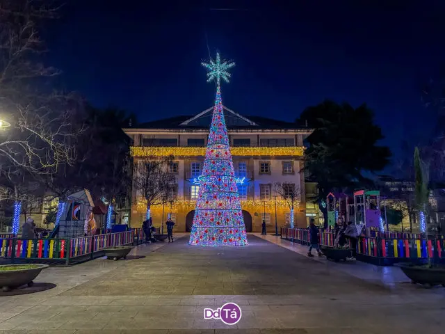 Luces Nadal 2023 Ver&iacute;n (54)