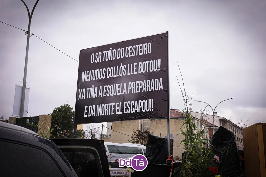 desfile entroido verin 2024-117