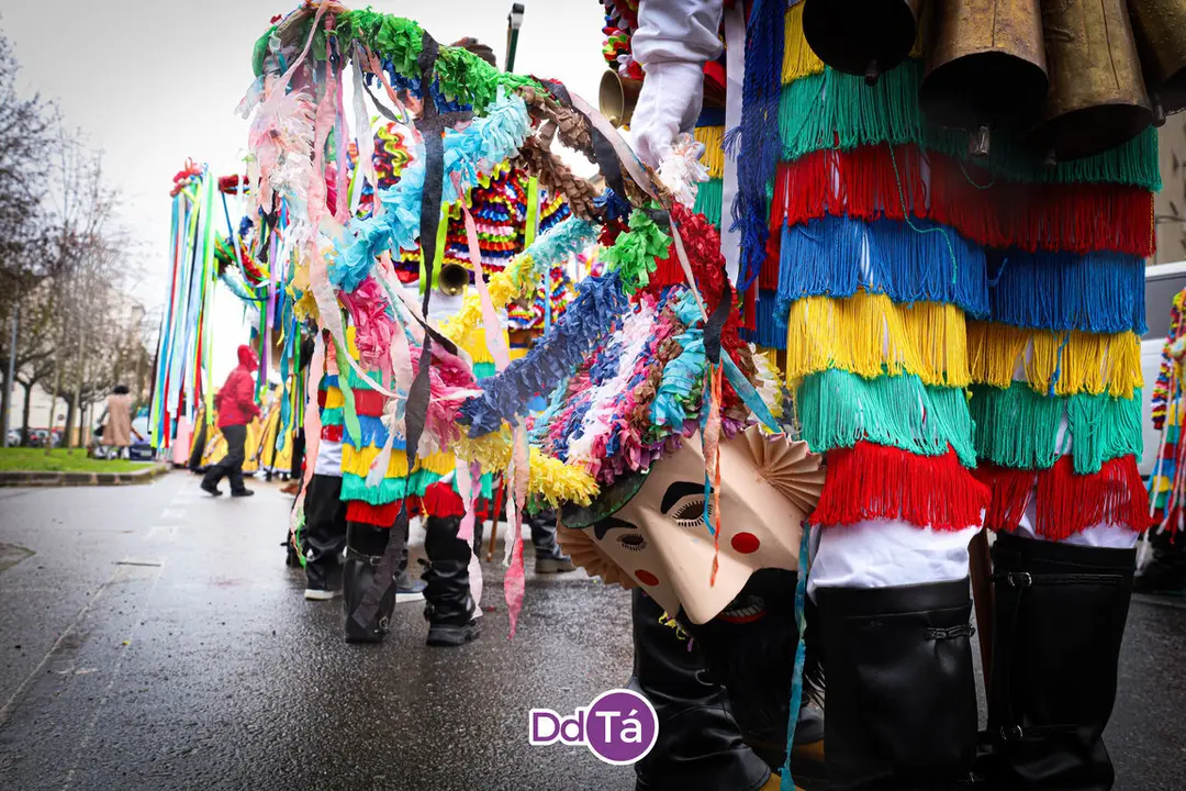 desfile entroido verin 2024-113
