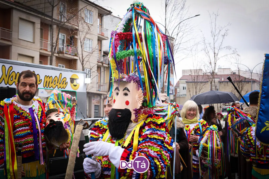 desfile entroido verin 2024-112