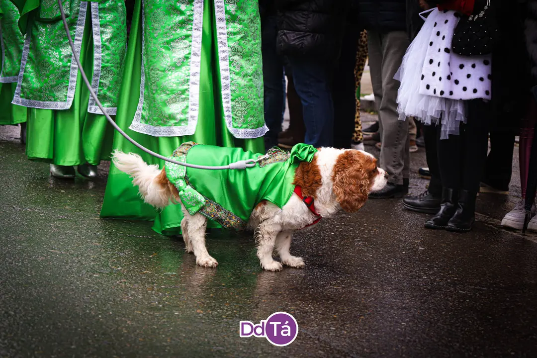 desfile entroido verin 2024-102