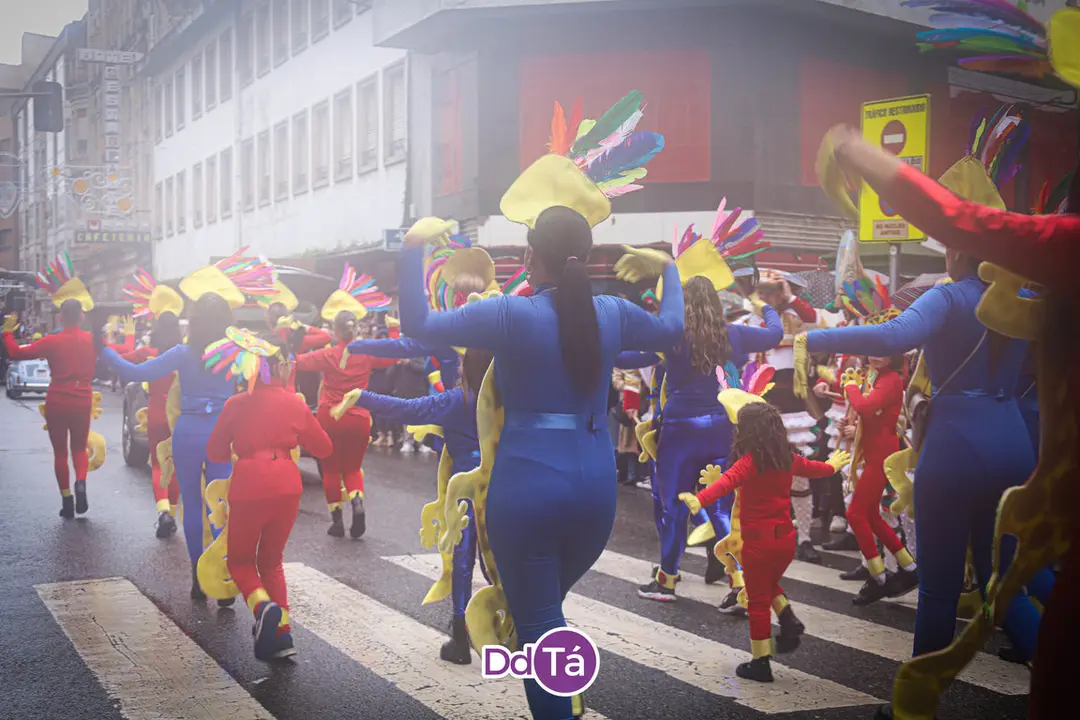 desfile entroido verin 2024-010
