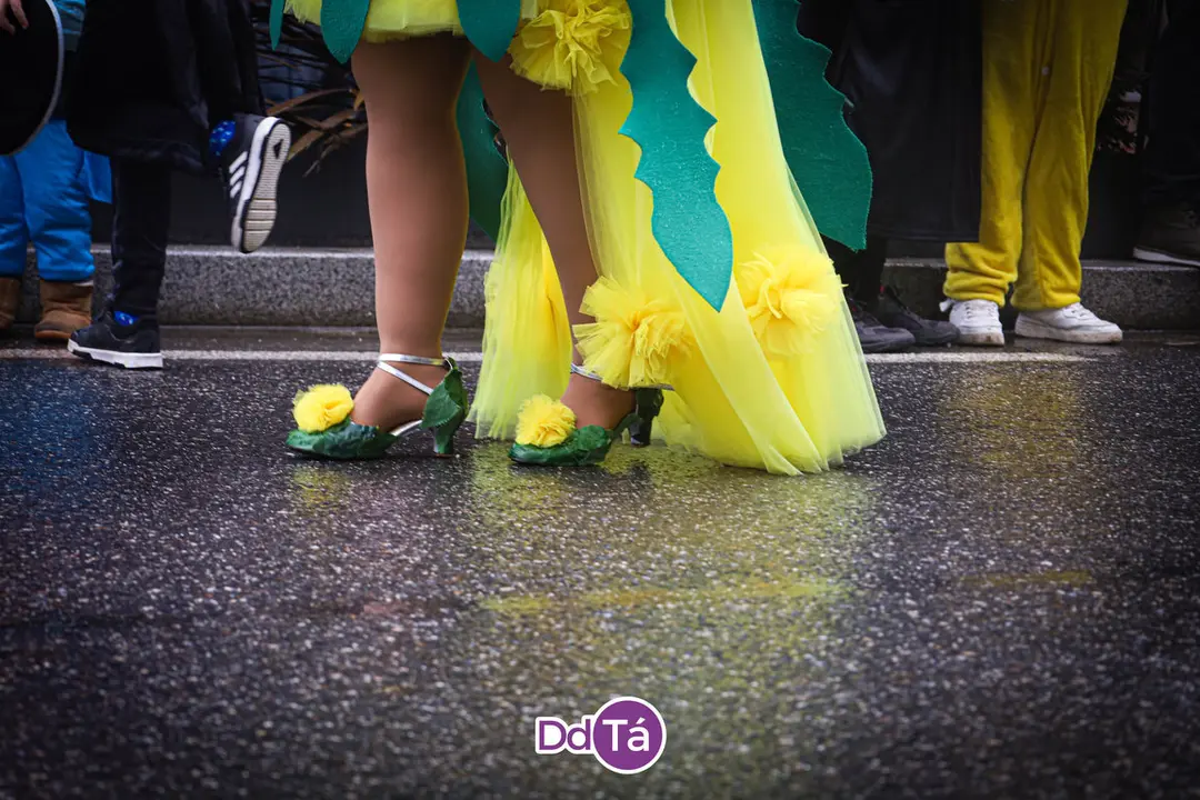 desfile entroido verin 2024-077