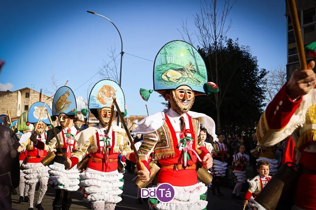 desfile entroido verin MARTES 2024_2-082