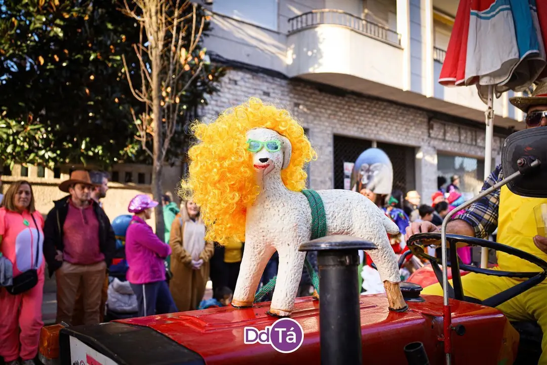 desfile entroido verin MARTES 2024-11